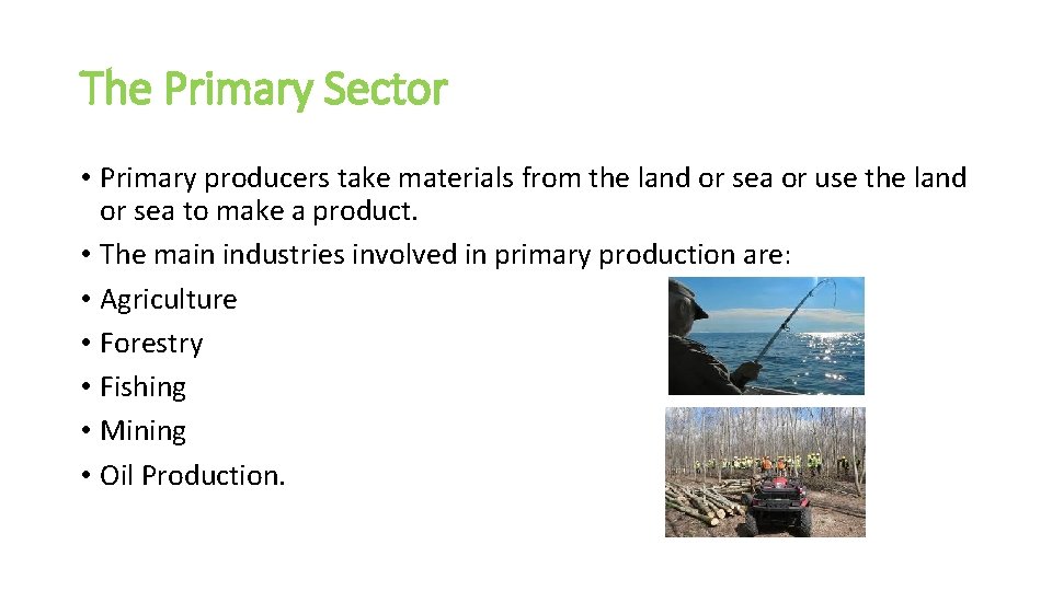 The Primary Sector • Primary producers take materials from the land or sea or