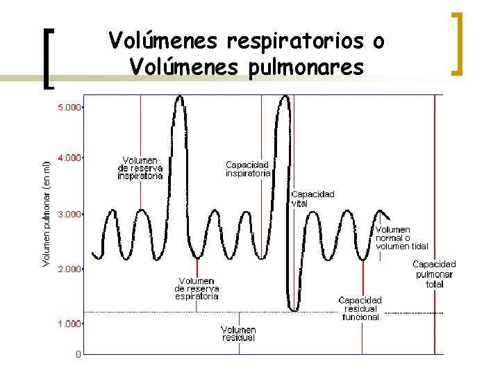 Volúmenes respiratorios o Volúmenes pulmonares 