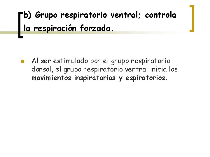 b) Grupo respiratorio ventral; controla la respiración forzada. n Al ser estimulado por el
