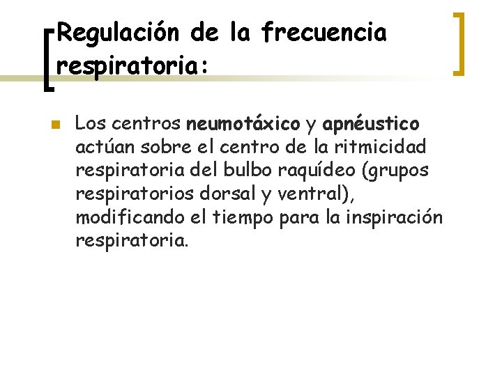 Regulación de la frecuencia respiratoria: n Los centros neumotáxico y apnéustico actúan sobre el