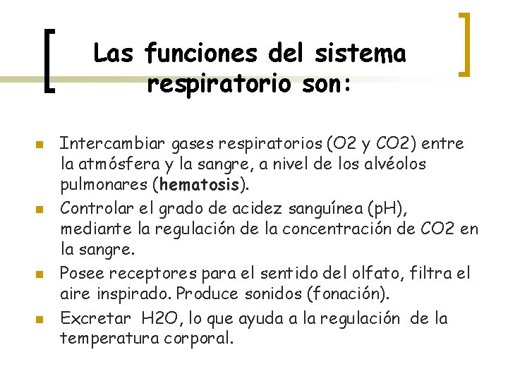 Las funciones del sistema respiratorio son: n n Intercambiar gases respiratorios (O 2 y