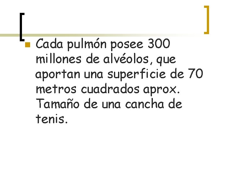 n Cada pulmón posee 300 millones de alvéolos, que aportan una superficie de 70