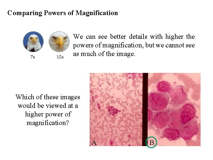 Comparing Powers of Magnification We can see better details with higher the powers of