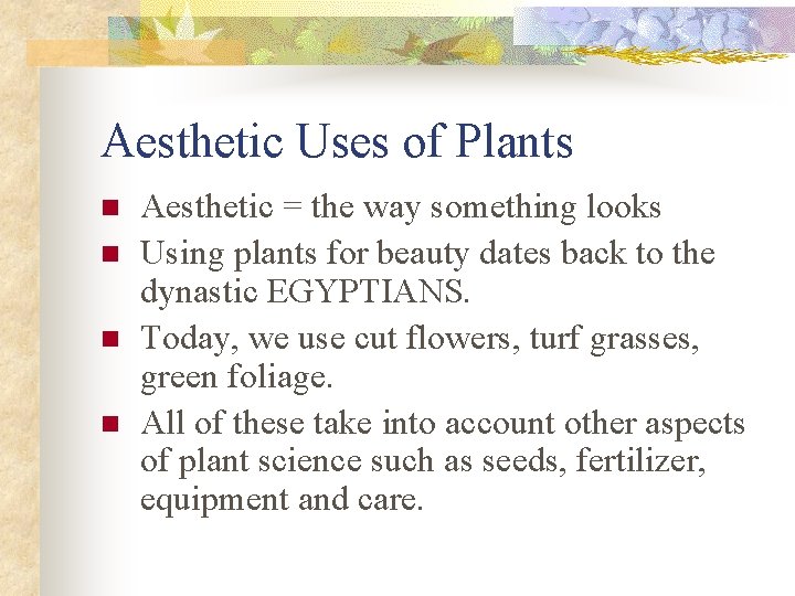 Aesthetic Uses of Plants n n Aesthetic = the way something looks Using plants