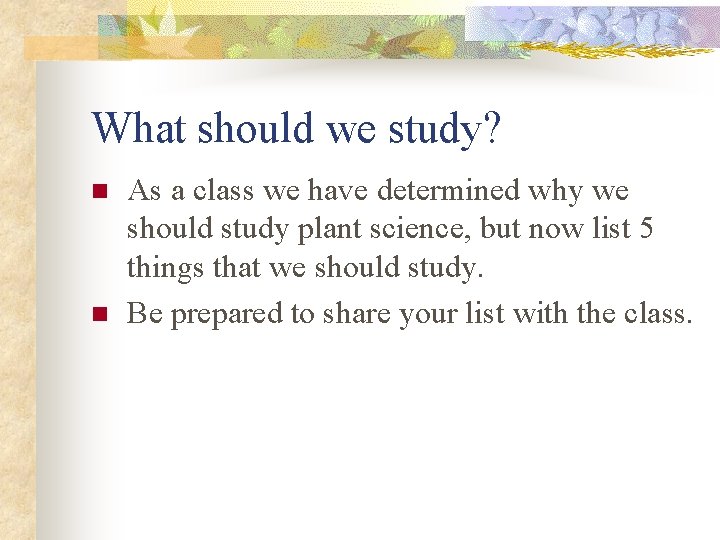 What should we study? n n As a class we have determined why we
