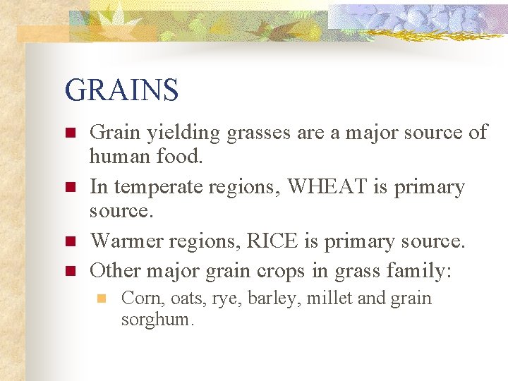 GRAINS n n Grain yielding grasses are a major source of human food. In