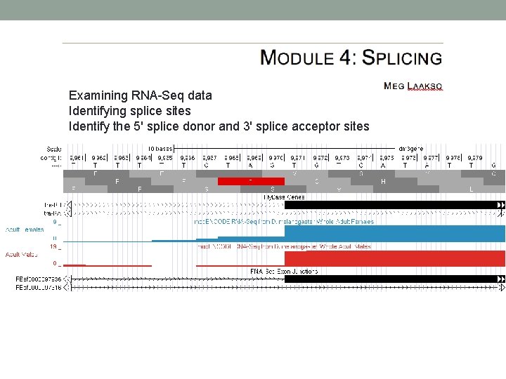 Examining RNA-Seq data Identifying splice sites Identify the 5' splice donor and 3' splice