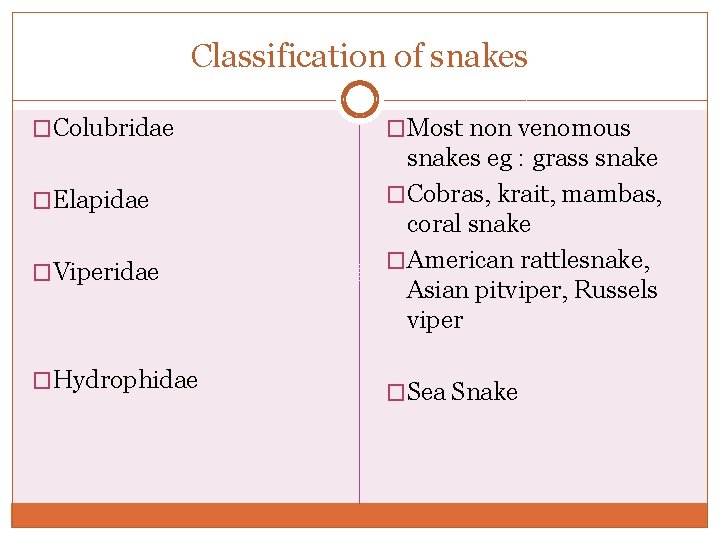 Classification of snakes �Colubridae �Elapidae �Viperidae �Hydrophidae �Most non venomous snakes eg : grass Classification of snakes �Colubridae �Elapidae �Viperidae �Hydrophidae �Most non venomous snakes eg : grass