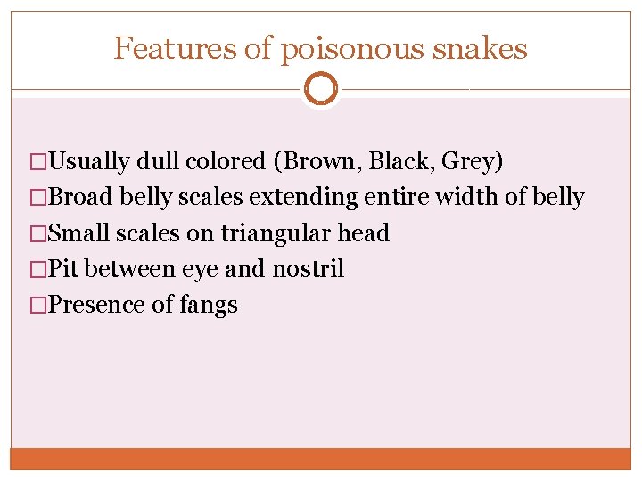 Features of poisonous snakes �Usually dull colored (Brown, Black, Grey) �Broad belly scales extending Features of poisonous snakes �Usually dull colored (Brown, Black, Grey) �Broad belly scales extending