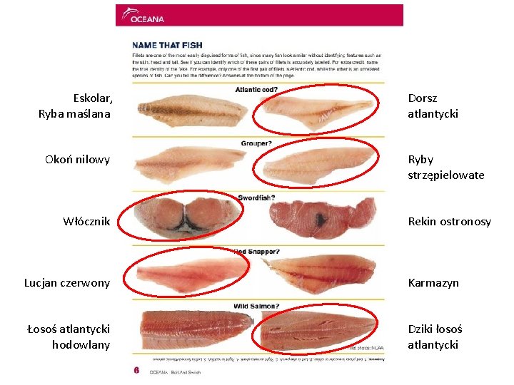 Eskolar, Ryba maślana Okoń nilowy Włócznik Dorsz atlantycki Ryby strzępielowate Rekin ostronosy Lucjan czerwony