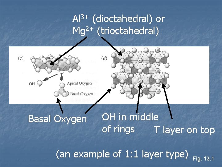 Al 3+ (dioctahedral) or Mg 2+ (trioctahedral) Basal Oxygen OH in middle of rings