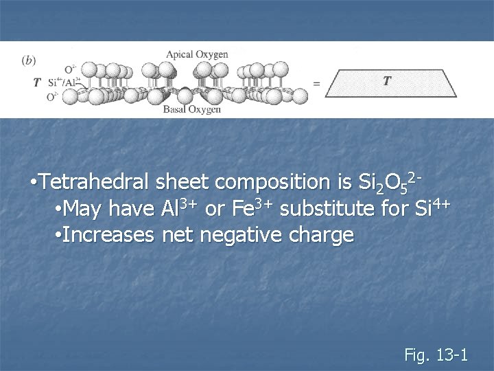  • Tetrahedral sheet composition is Si 2 O 52 • May have Al