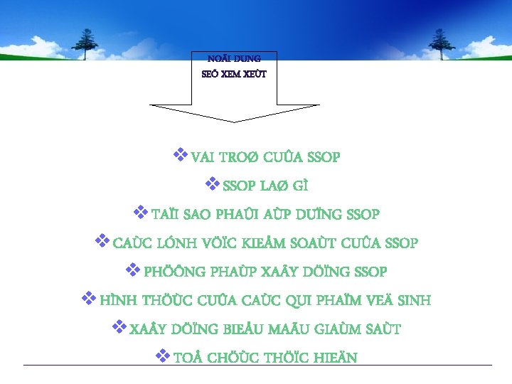 NOÄI DUNG SEÕ XEM XEÙT v VAI TROØ CUÛA SSOP v SSOP LAØ GÌ