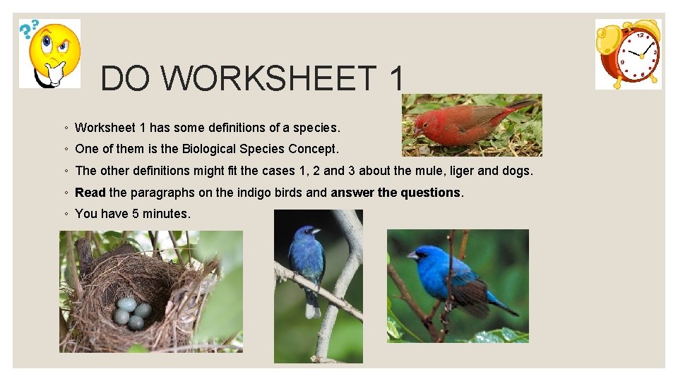 DO WORKSHEET 1 ◦ Worksheet 1 has some definitions of a species. ◦ One