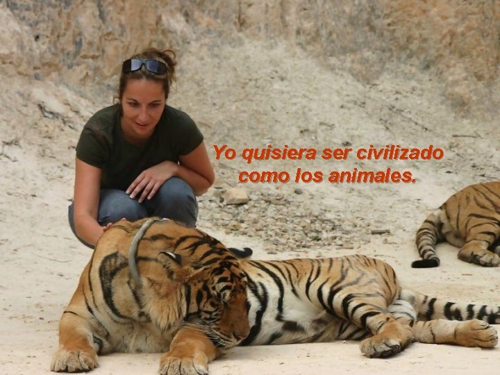 Yo quisiera ser civilizado como los animales. 