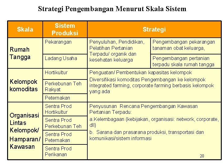 Strategi Pengembangan Menurut Skala Sistem Produksi Pekarangan Rumah Tangga Ladang Usaha Hortikultur Kelompok komoditas