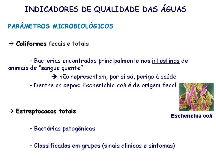 INDICADORES DE QUALIDADE DAS ÁGUAS PAR METROS MICROBIOLÓGICOS Coliformes fecais e totais - Bactérias