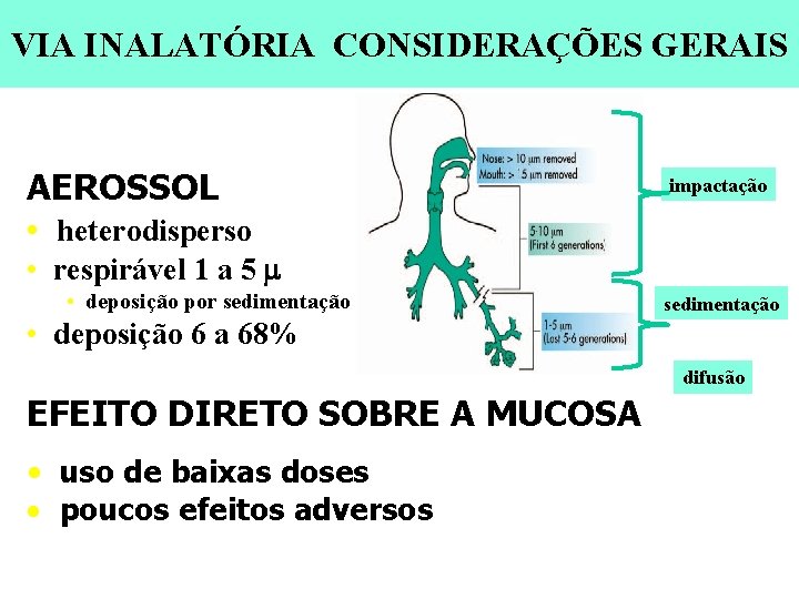 VIA INALATÓRIA CONSIDERAÇÕES GERAIS AEROSSOL • heterodisperso impactação • respirável 1 a 5 •