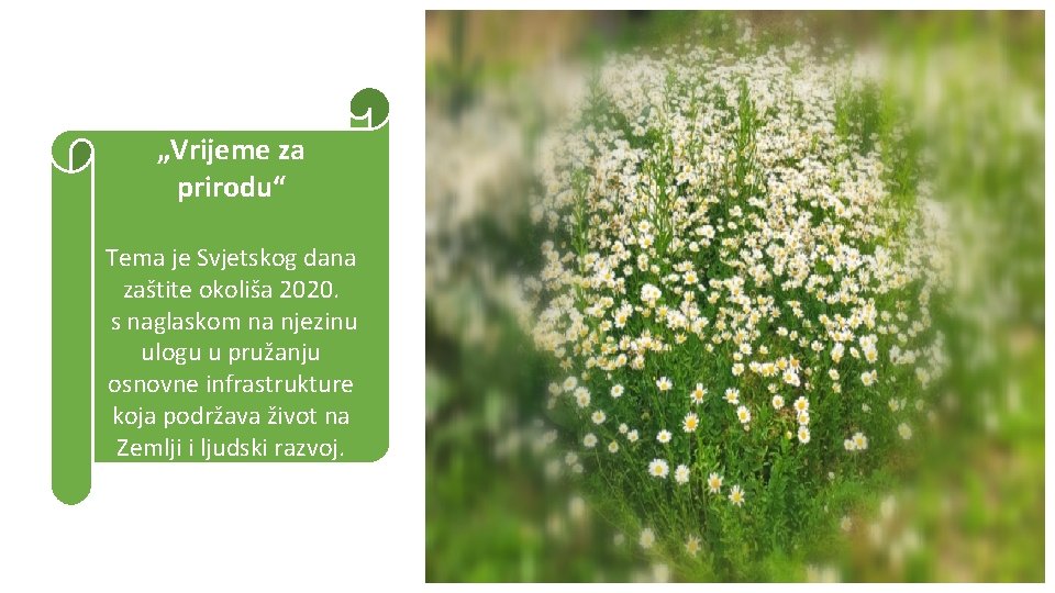 „Vrijeme za prirodu“ Tema je Svjetskog dana zaštite okoliša 2020. s naglaskom na njezinu