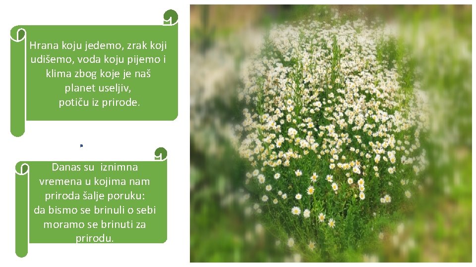 Hrana koju jedemo, zrak koji udišemo, voda koju pijemo i klima zbog koje je