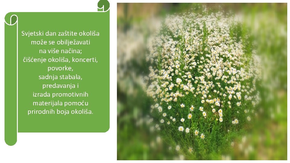 Svjetski dan zaštite okoliša može se obilježavati na više načina; čišćenje okoliša, koncerti, povorke,