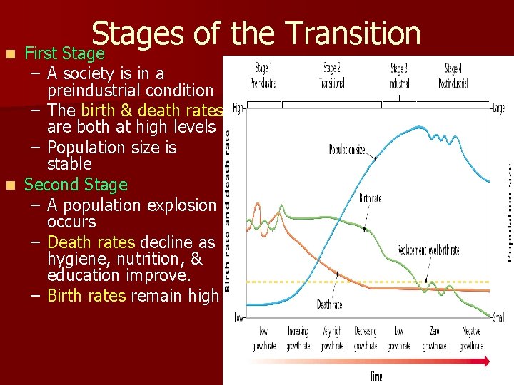 Stages of the Transition n First Stage – A society is in a preindustrial