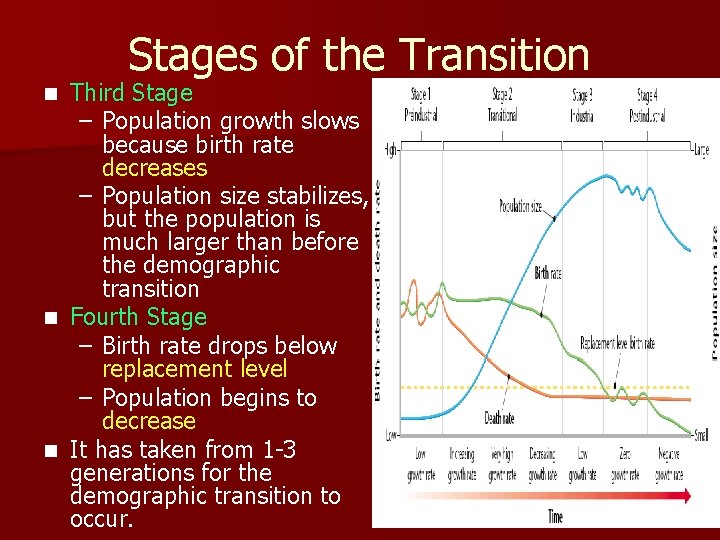 Stages of the Transition Third Stage – Population growth slows because birth rate decreases