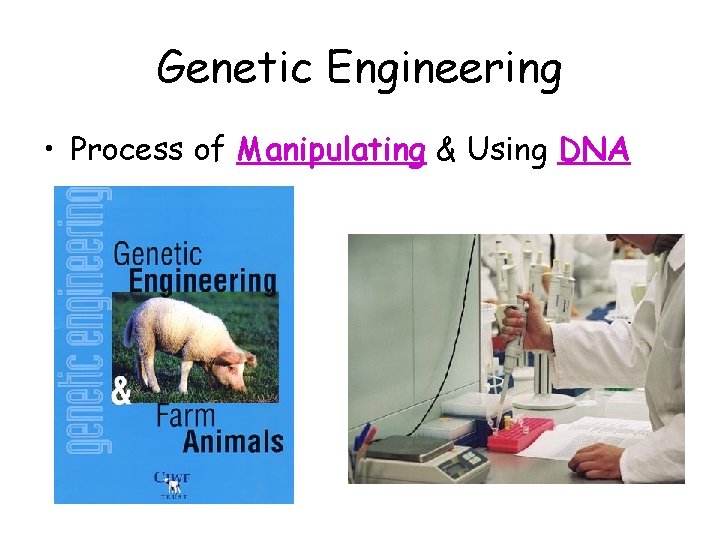 Genetic Engineering • Process of Manipulating & Using DNA 