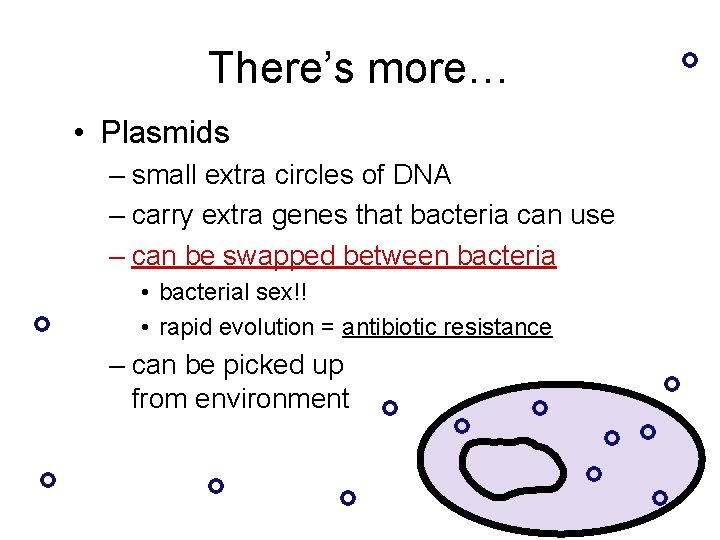 There’s more… • Plasmids – small extra circles of DNA – carry extra genes