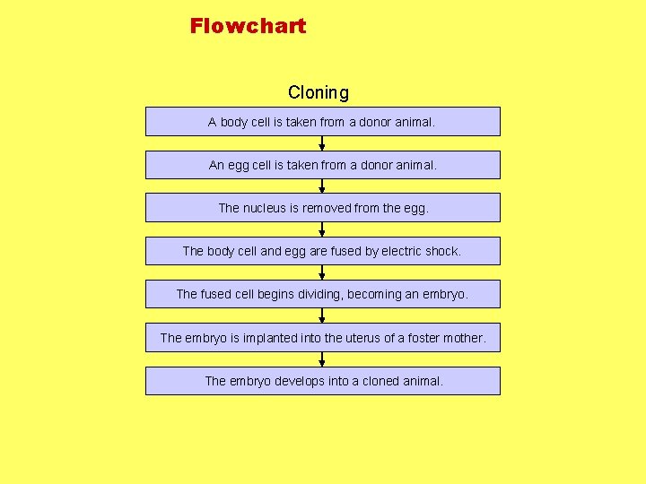 Flowchart Cloning A body cell is taken from a donor animal. An egg cell