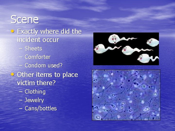 Scene • Exactly where did the incident occur – – – Sheets Comforter Condom