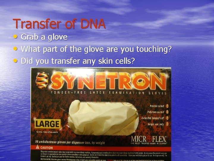 Transfer of DNA • Grab a glove • What part of the glove are