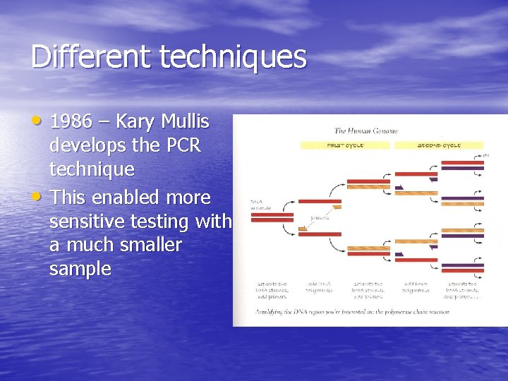Different techniques • 1986 – Kary Mullis • develops the PCR technique This enabled