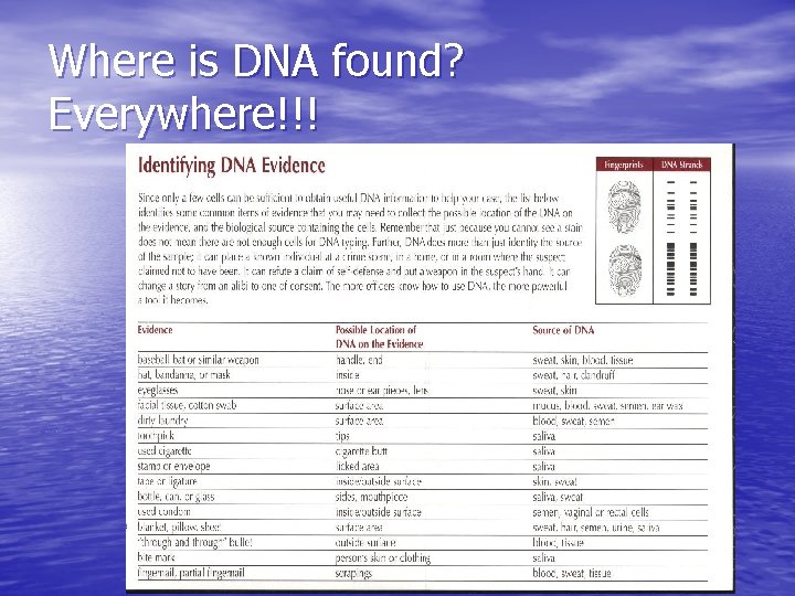 Where is DNA found? Everywhere!!! 