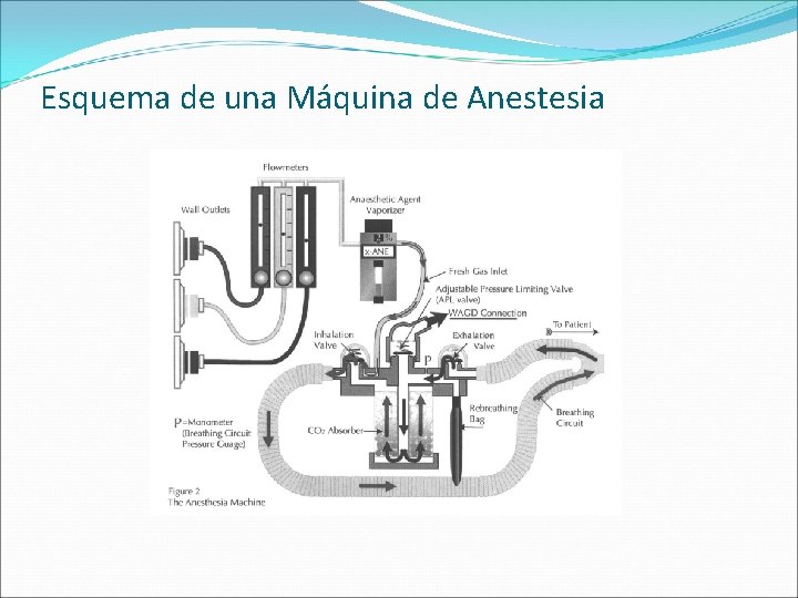Esquema de una Máquina de Anestesia 