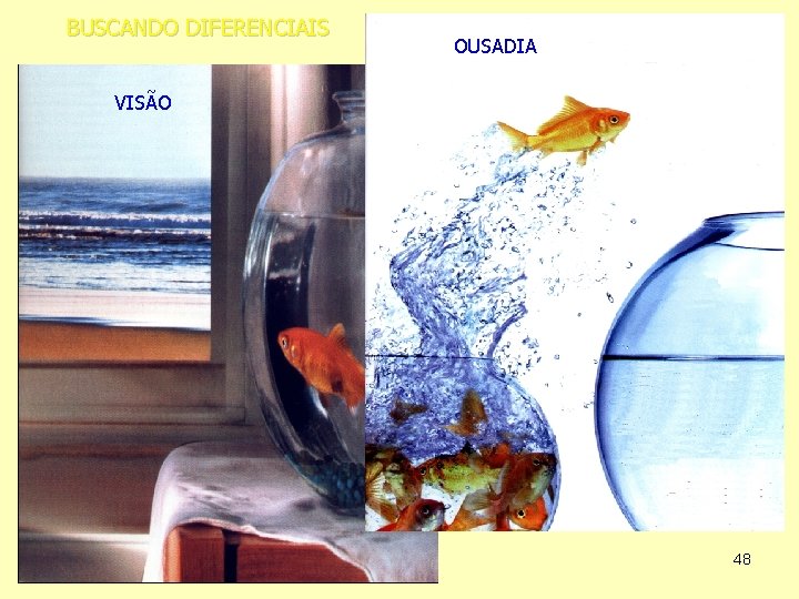 BUSCANDO DIFERENCIAIS OUSADIA VISÃO 48 