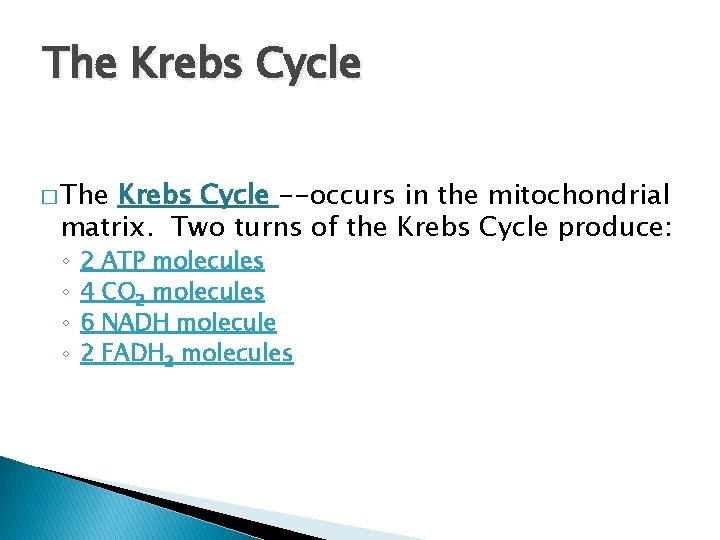 The Krebs Cycle � The Krebs Cycle --occurs in the mitochondrial matrix. Two turns