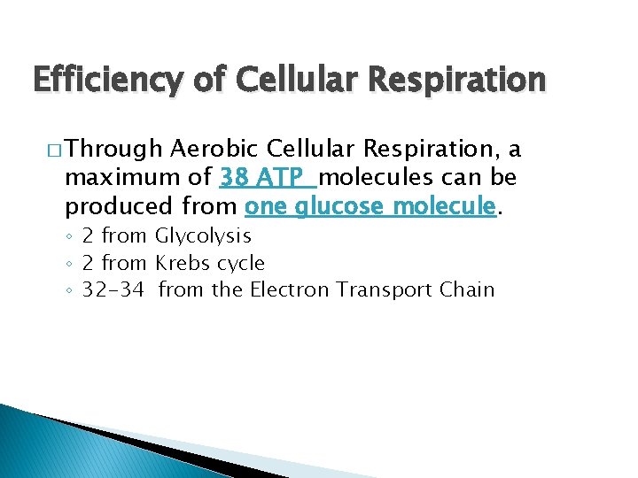 Efficiency of Cellular Respiration � Through Aerobic Cellular Respiration, a maximum of 38 ATP