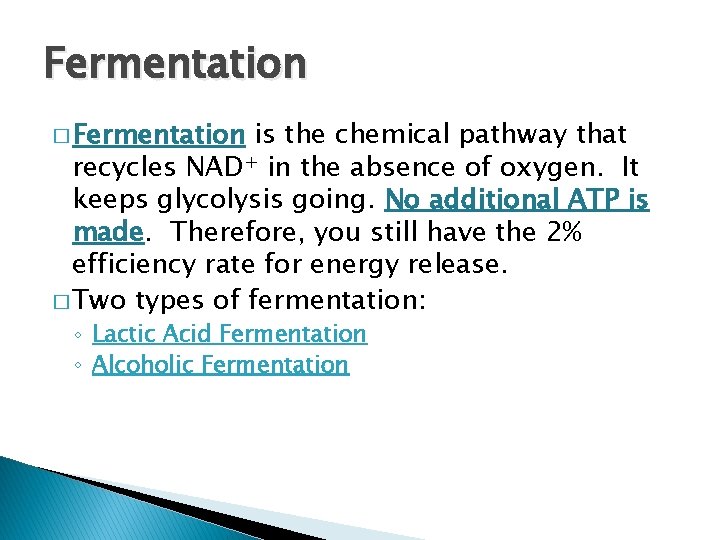 Fermentation � Fermentation is the chemical pathway that recycles NAD+ in the absence of