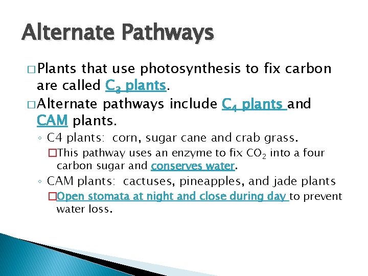 Alternate Pathways � Plants that use photosynthesis to fix carbon are called C 3