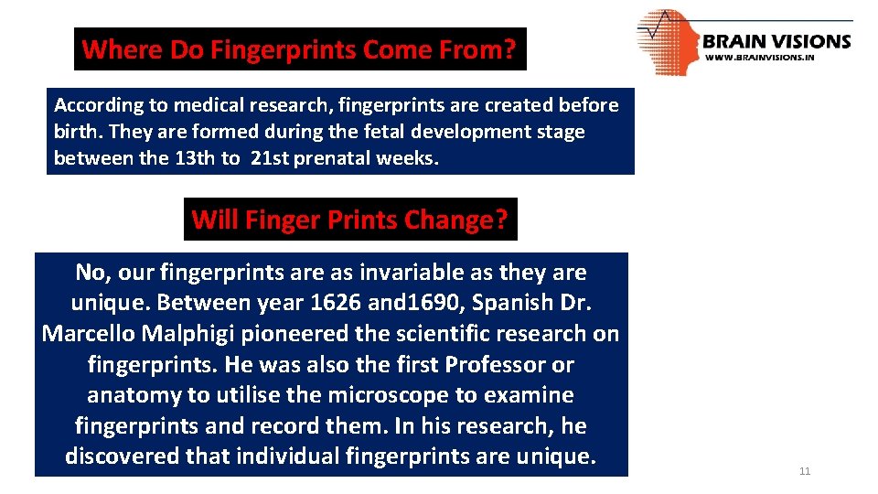 Where Do Fingerprints Come From? According to medical research, fingerprints are created before birth.