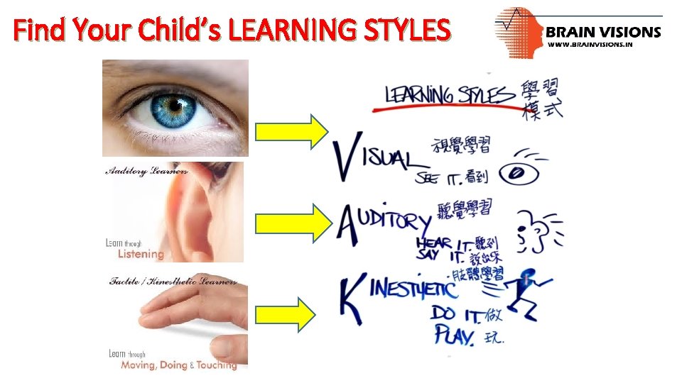 Find Your Child’s LEARNING STYLES 