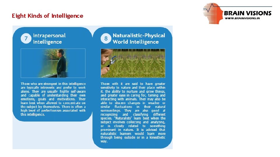 Eight Kinds of Intelligence 