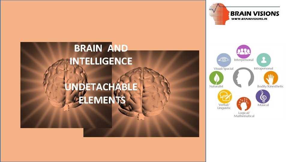 BRAIN AND INTELLIGENCE UNDETACHABLE ELEMENTS 