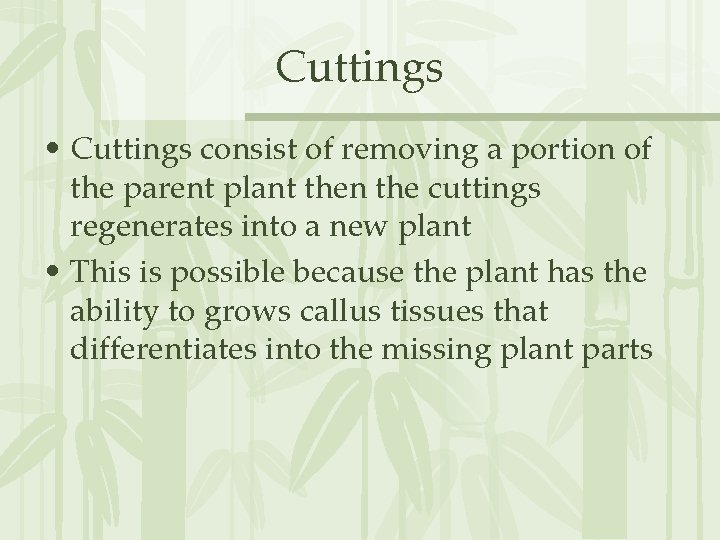 Cuttings • Cuttings consist of removing a portion of the parent plant then the