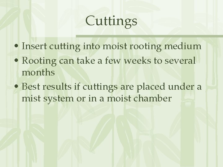 Cuttings • Insert cutting into moist rooting medium • Rooting can take a few