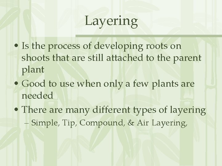 Layering • Is the process of developing roots on shoots that are still attached