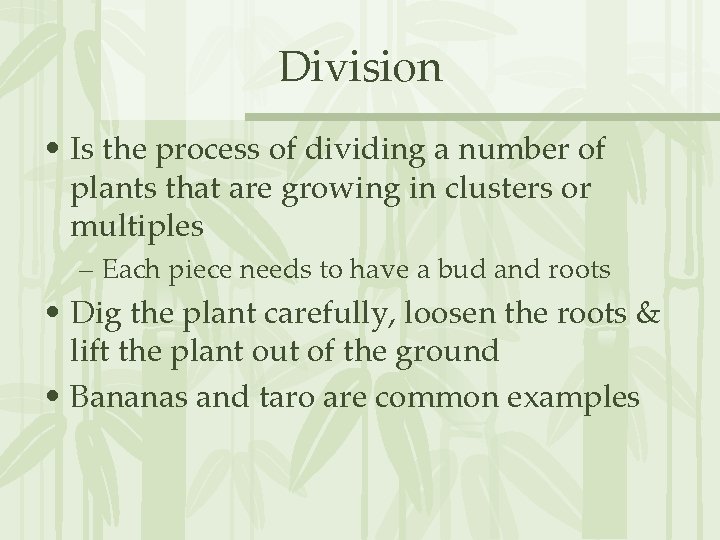 Division • Is the process of dividing a number of plants that are growing