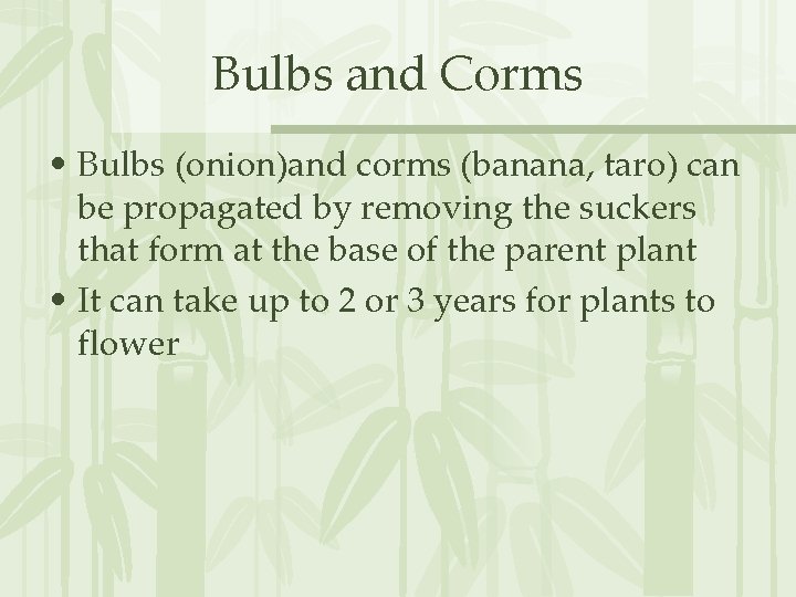 Bulbs and Corms • Bulbs (onion)and corms (banana, taro) can be propagated by removing