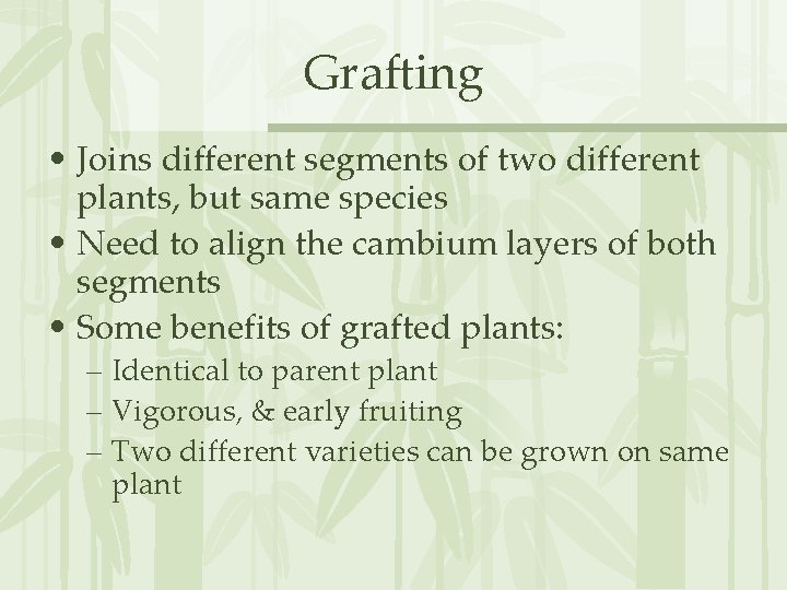 Grafting • Joins different segments of two different plants, but same species • Need